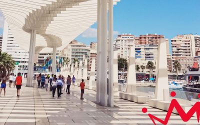 Vivir y triunfar en la Costa del Sol: 5 razones clave para aprender inglés en Málaga
